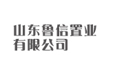 山东鲁信置业有限公司